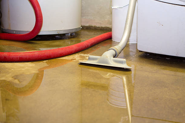 Best 24-hour water damage restoration  in USA